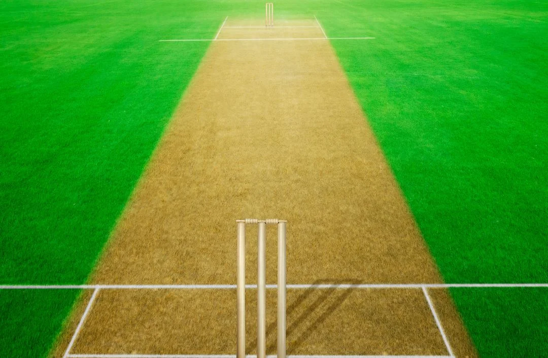 Cricket Pitch